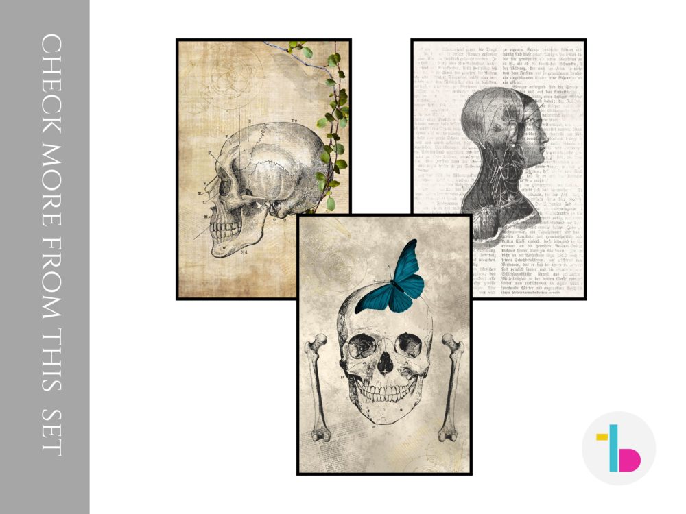 Steampunk Human skull digital print