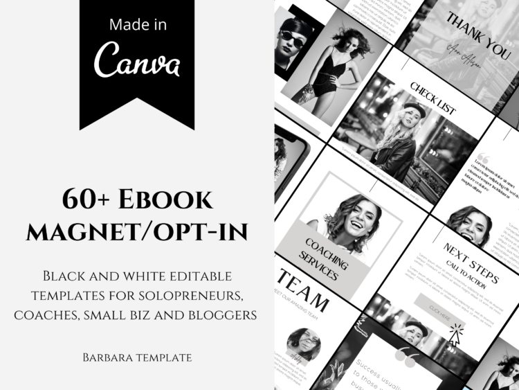 Minimalist ebook magnet opt-in template