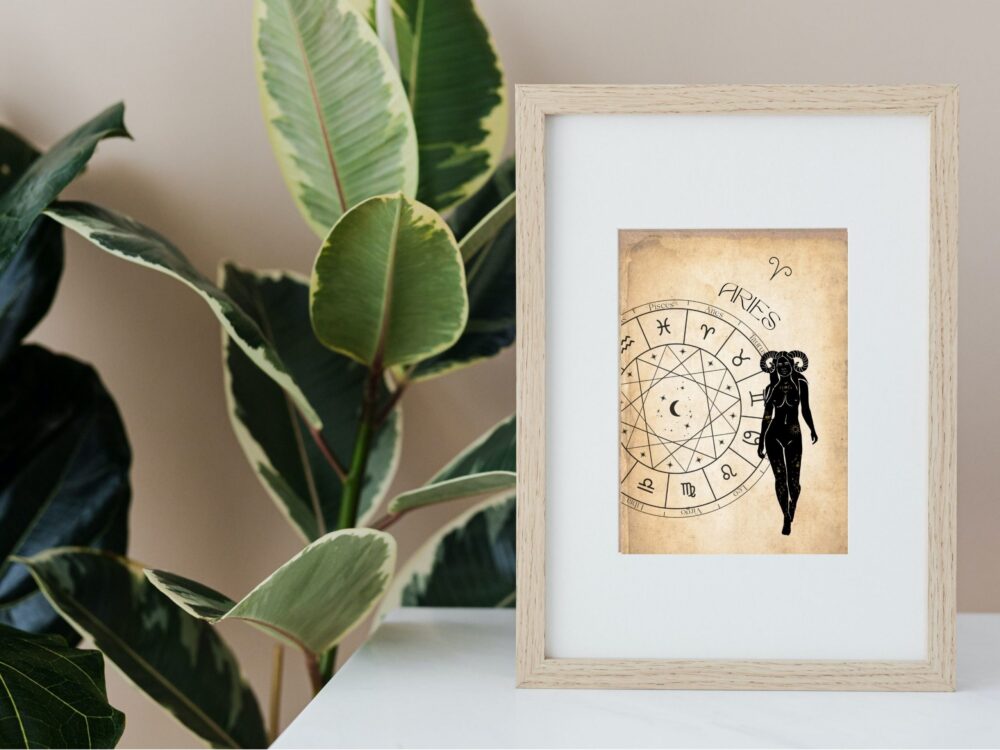 12pc Set Zodiac Print