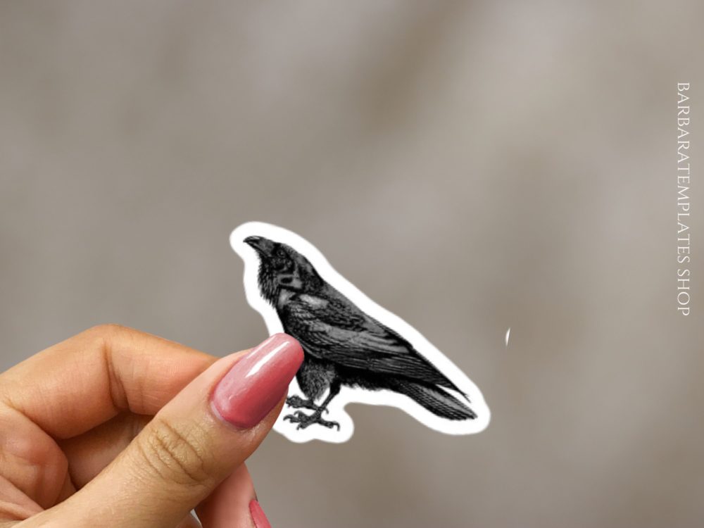 Gothic stickers, Raven, Butterfly, Gothic rose