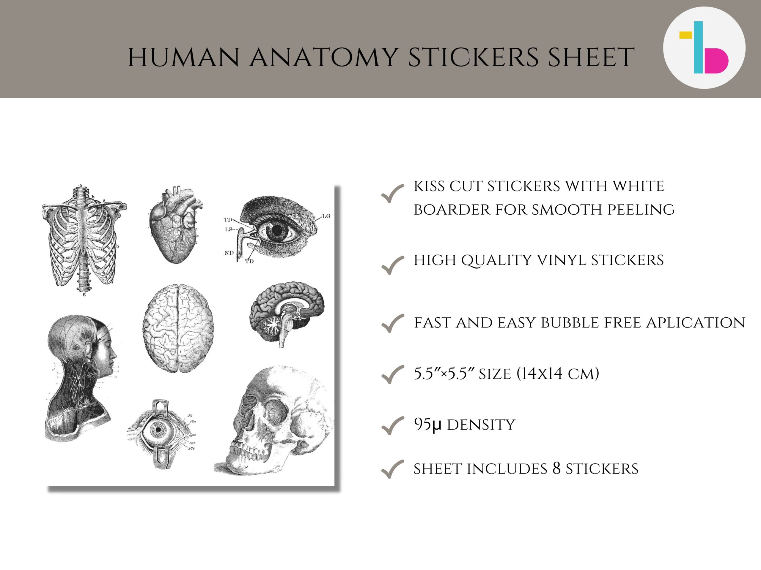 Human anatomy stickers